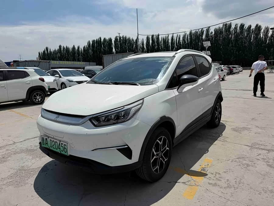 BYD Yuan Pro