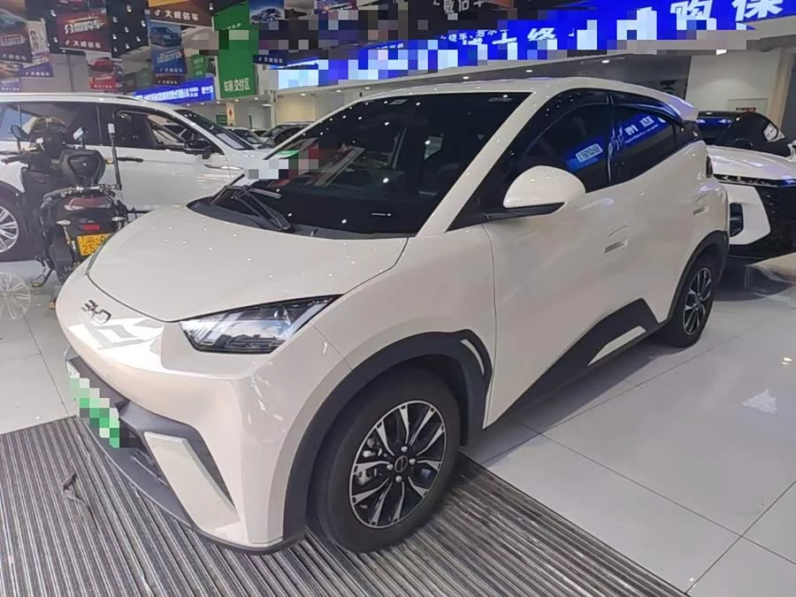 BYD Seagull