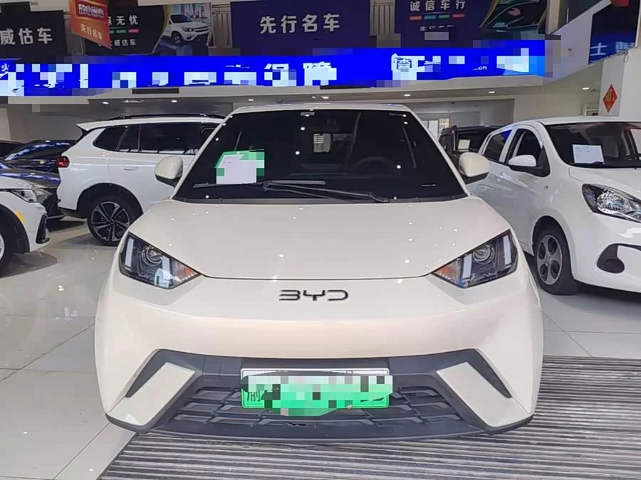 BYD Seagull