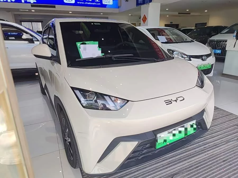 BYD Seagull