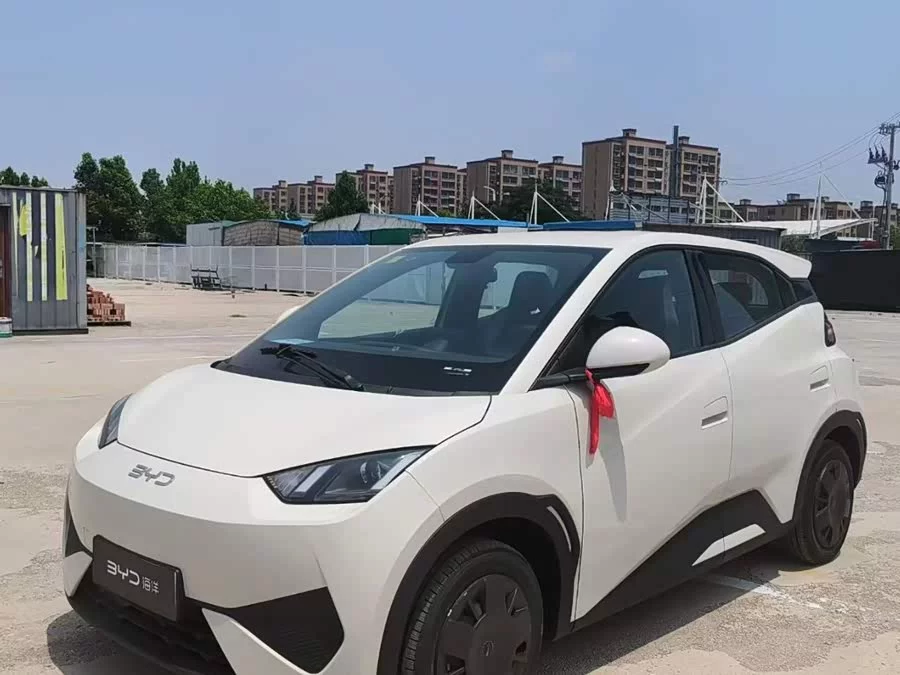 BYD Seagull