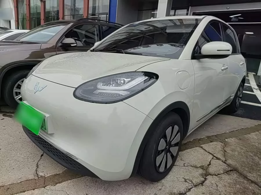Wuling Bingo