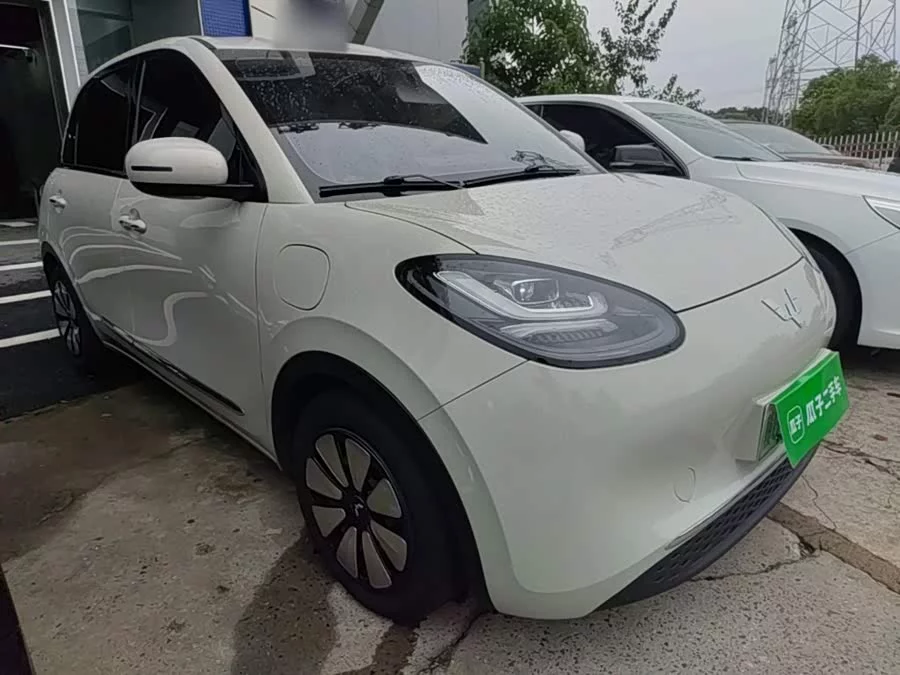 Wuling Bingo