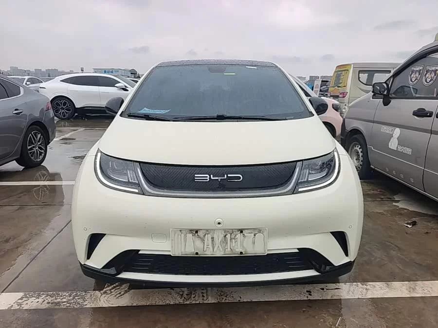 BYD Dolphin