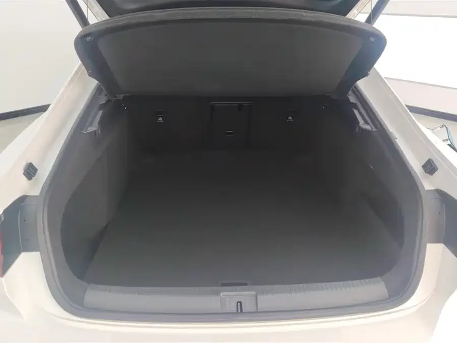 Volkswagen FAW- CC