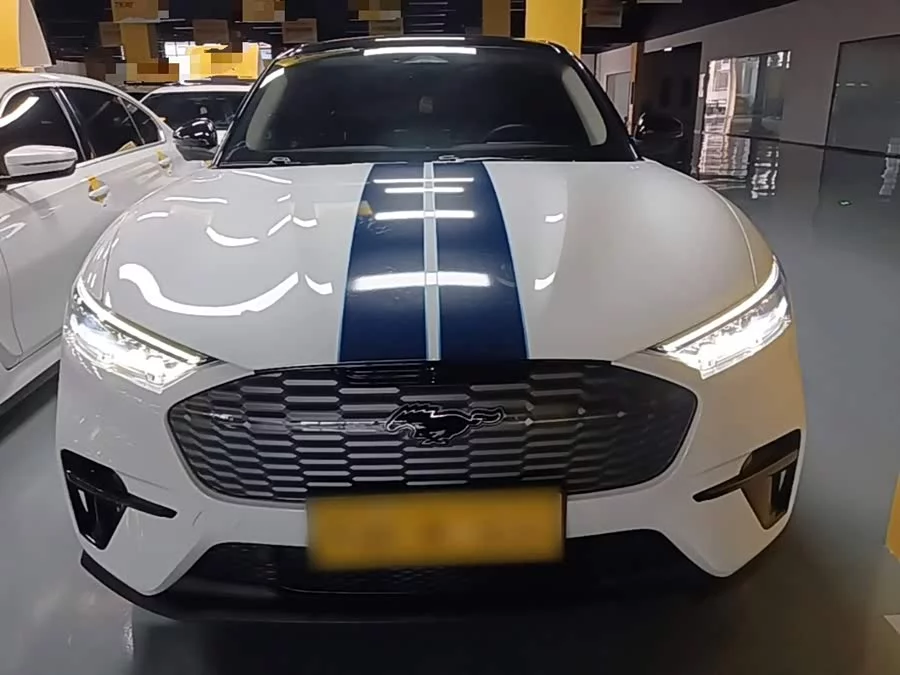 Ford electric horse