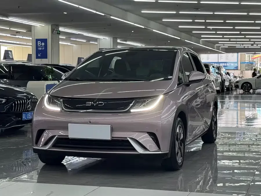 BYD Dolphin