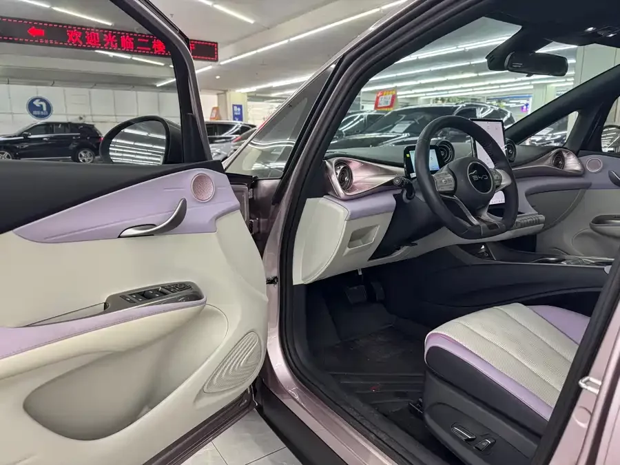 BYD Dolphin
