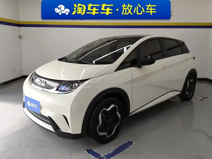 BYD Dolphin