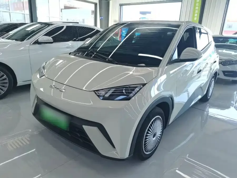 BYD Seagull