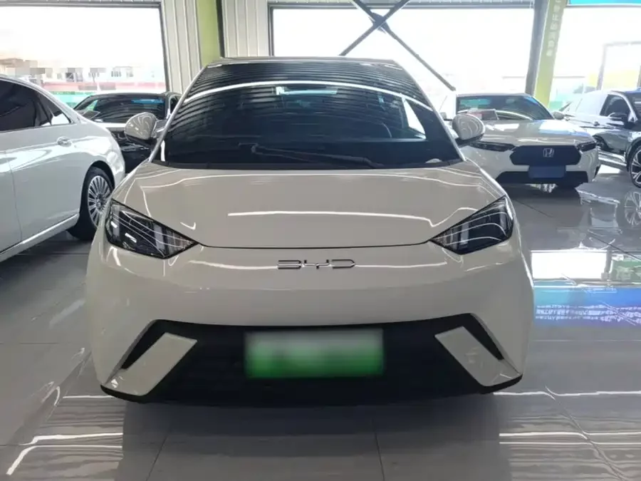 BYD Seagull