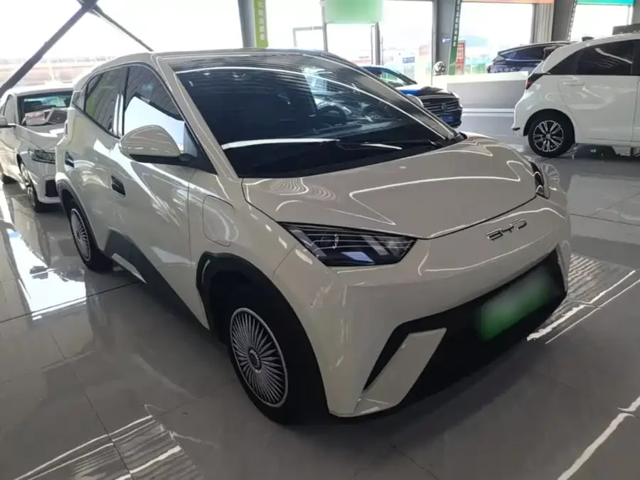 BYD Seagull