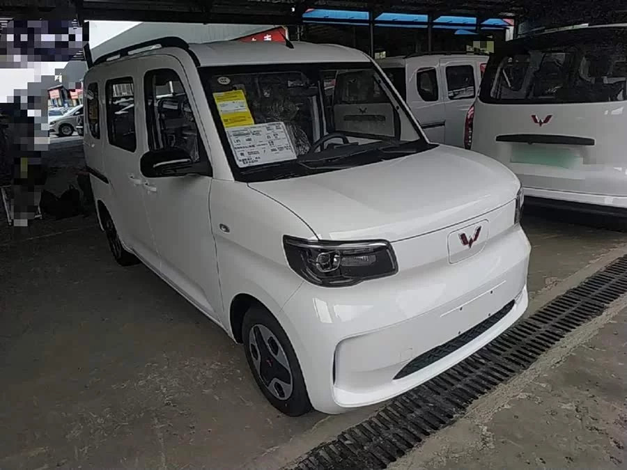 Wuling Zhiguang New Energy