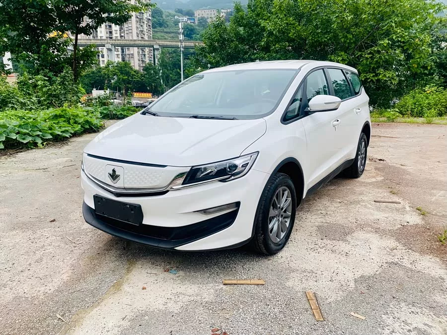 Ruilan Car Maple Leaf 80v