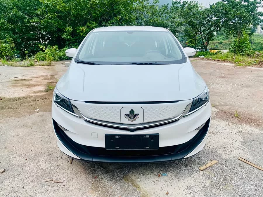 Ruilan Car Maple Leaf 80v