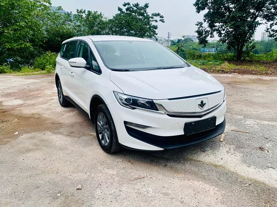Ruilan Car Maple Leaf 80v