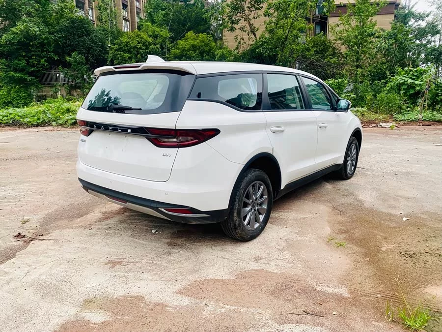 Ruilan Car Maple Leaf 80v