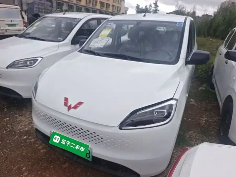 Wuling Hongguang New Energy