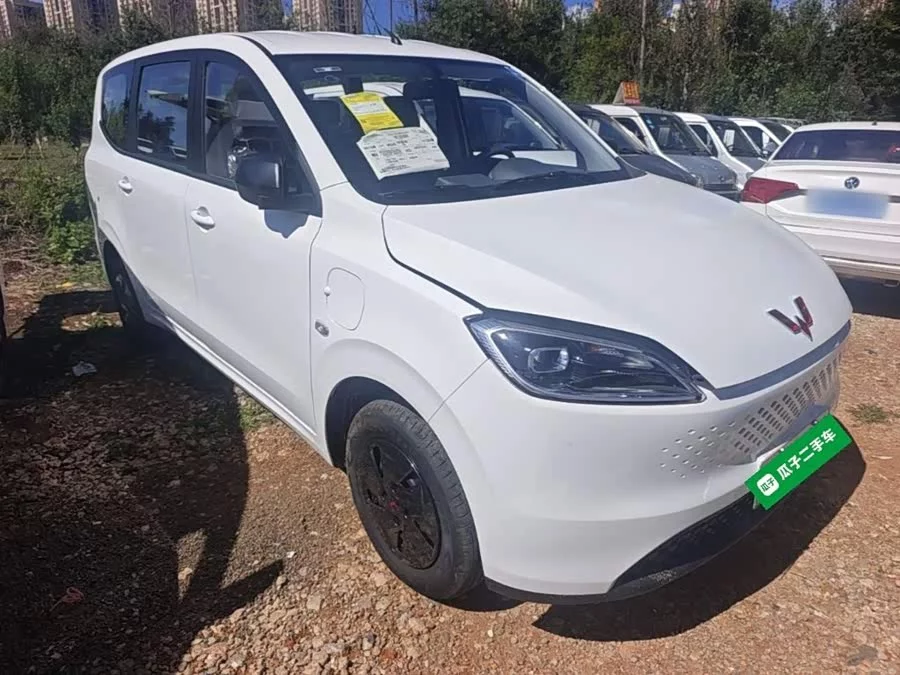 Wuling Hongguang New Energy