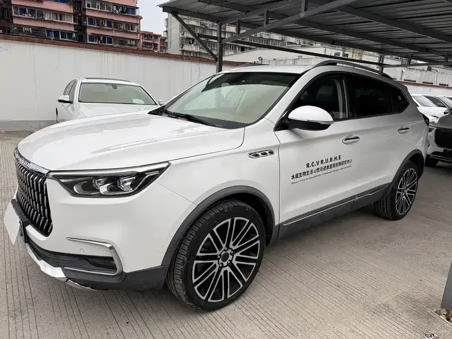 Cheetah Car Mattu