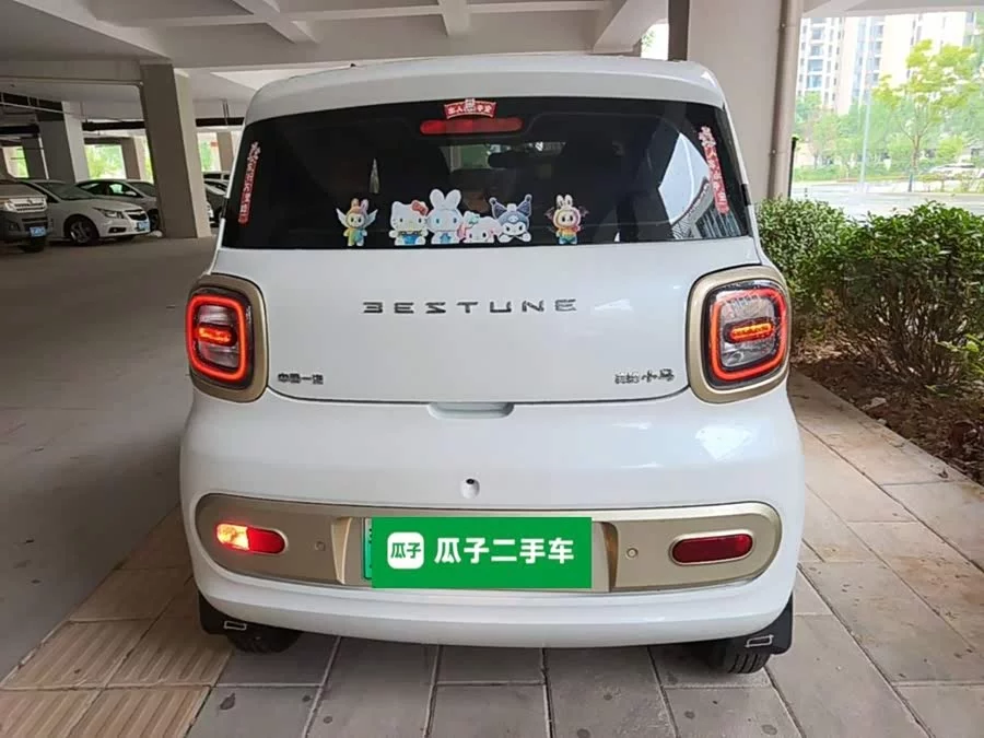 Pentium pony