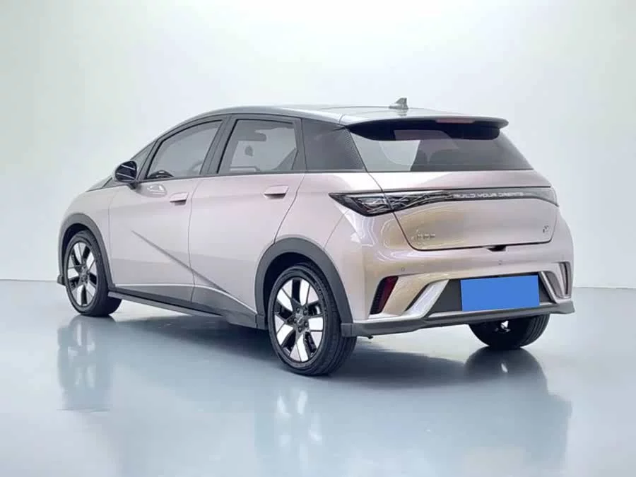 BYD Dolphin
