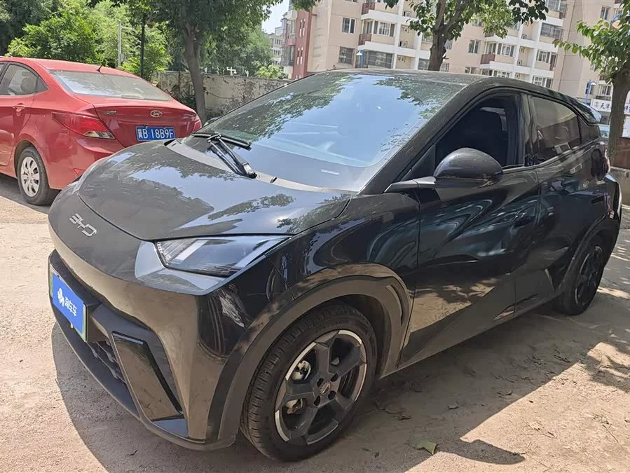 BYD Seagull