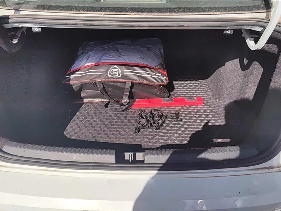 Volkswagen Sagitar
