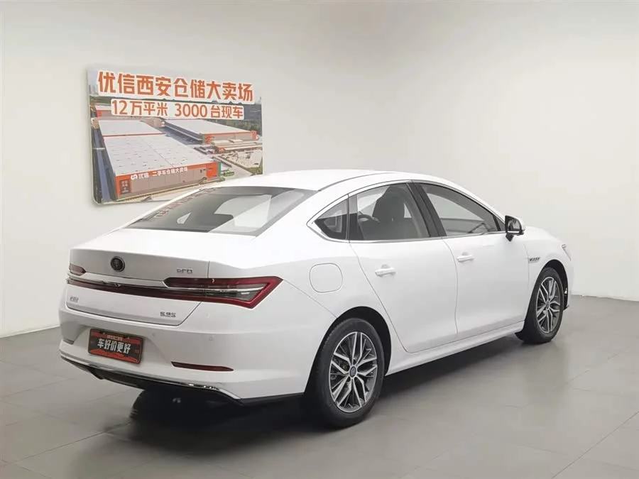 BYD Qin Pro New Energy