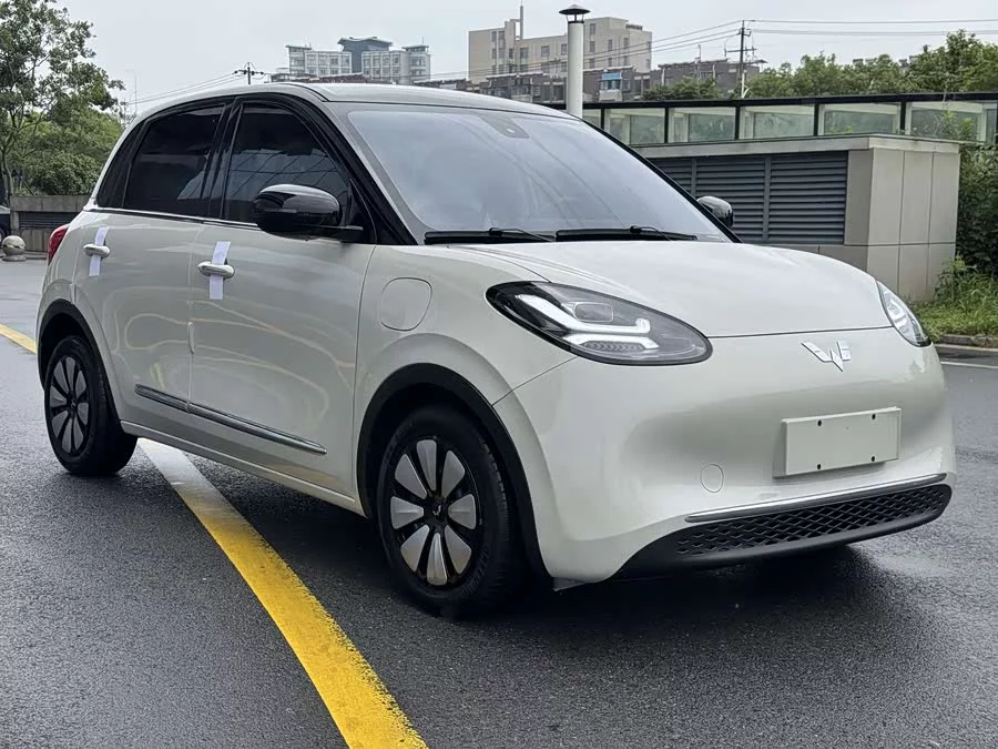 Wuling Bingo