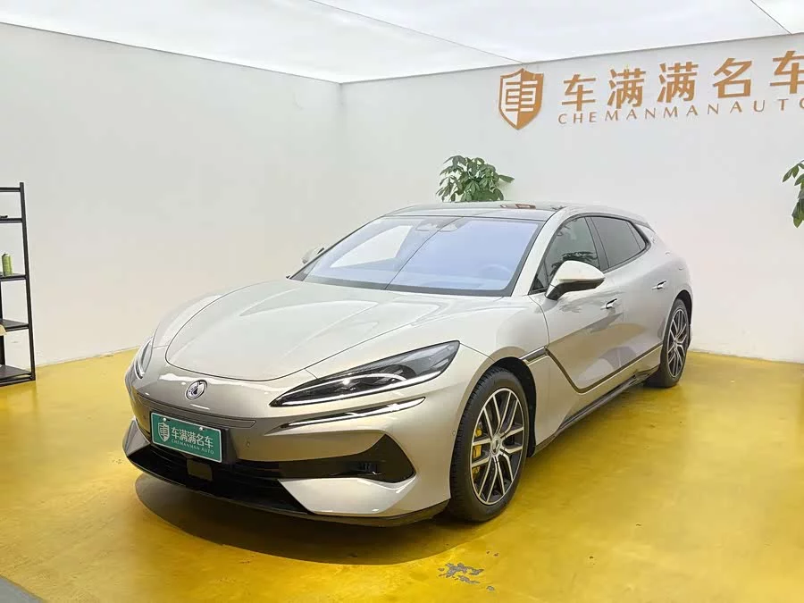 BYD Z9GT