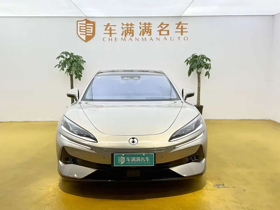 BYD Z9GT