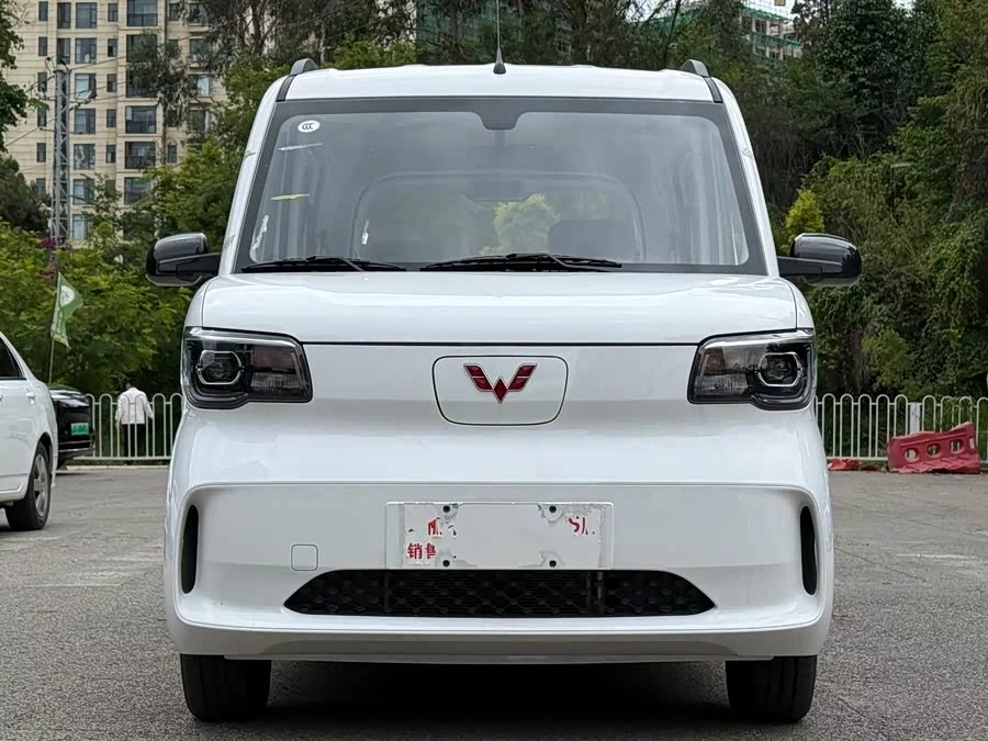 Wuling Zhiguang New Energy