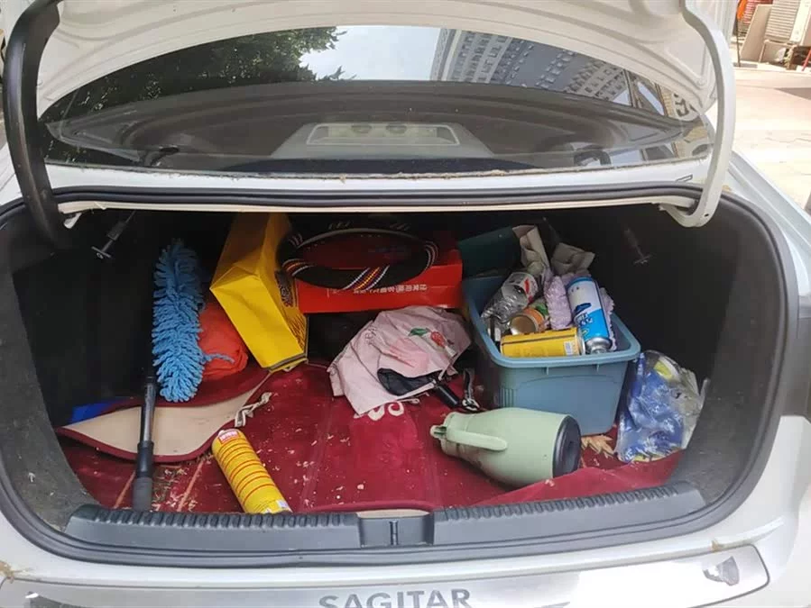 Volkswagen Sagitar
