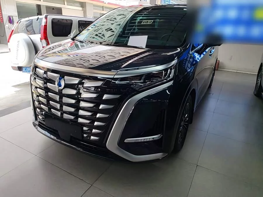 BYD D9