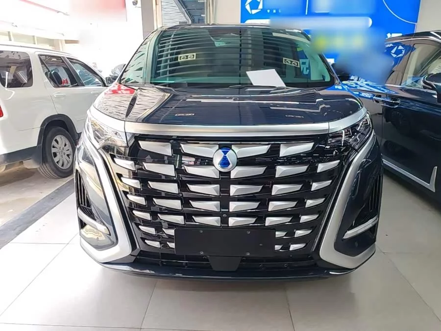 BYD D9
