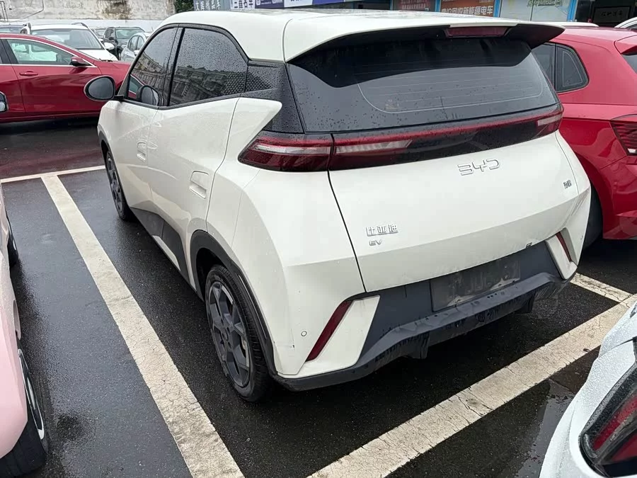 BYD Seagull