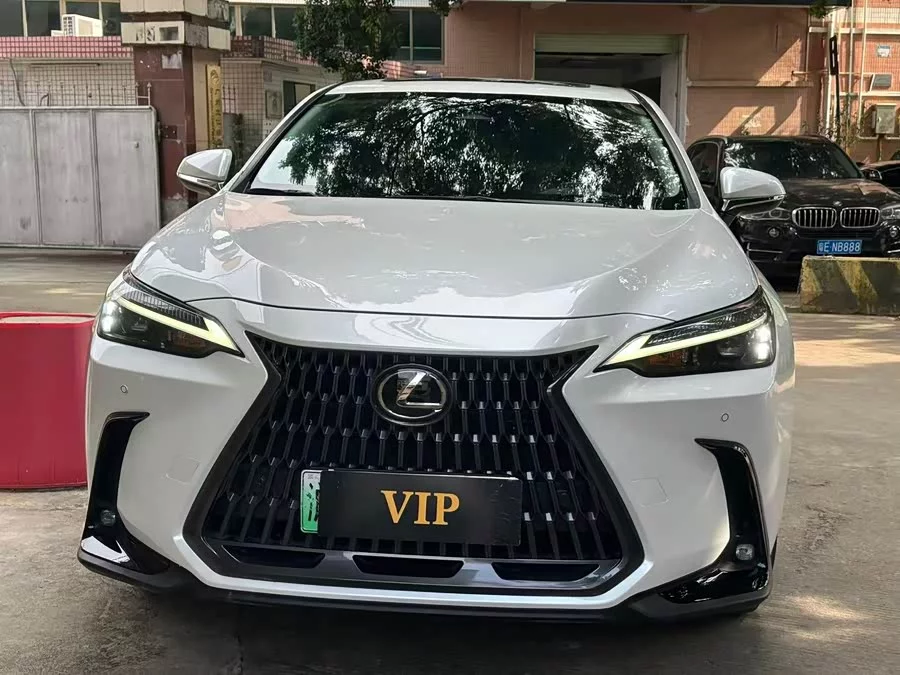 Lexus NX New Energy