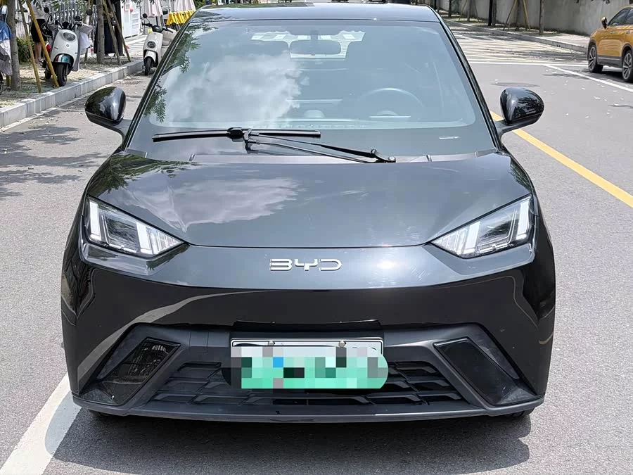 BYD Seagull