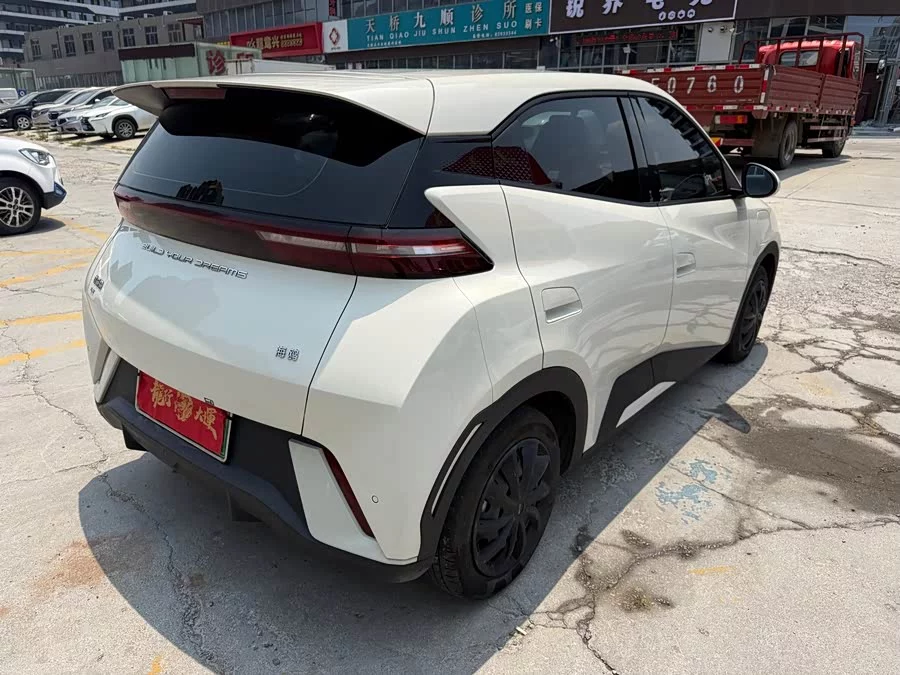 BYD Seagull