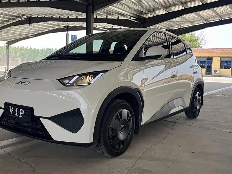 BYD Seagull