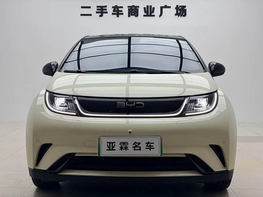 BYD Dolphin