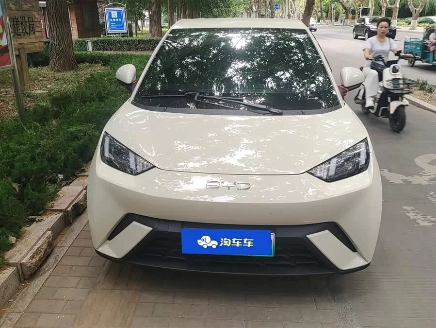 BYD Seagull