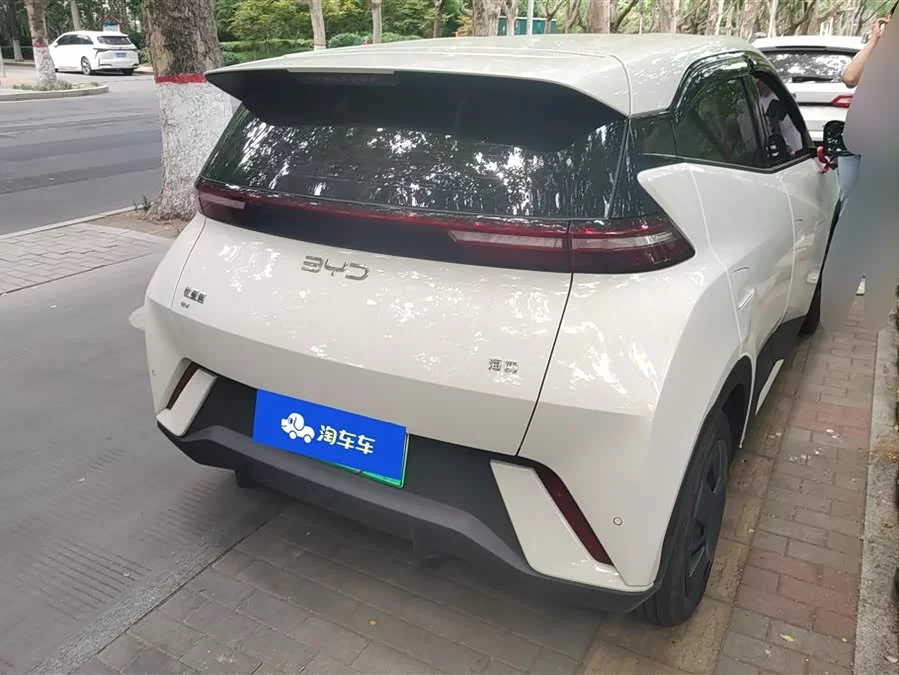 BYD Seagull