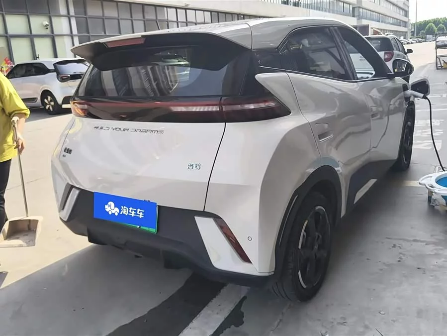 BYD Seagull