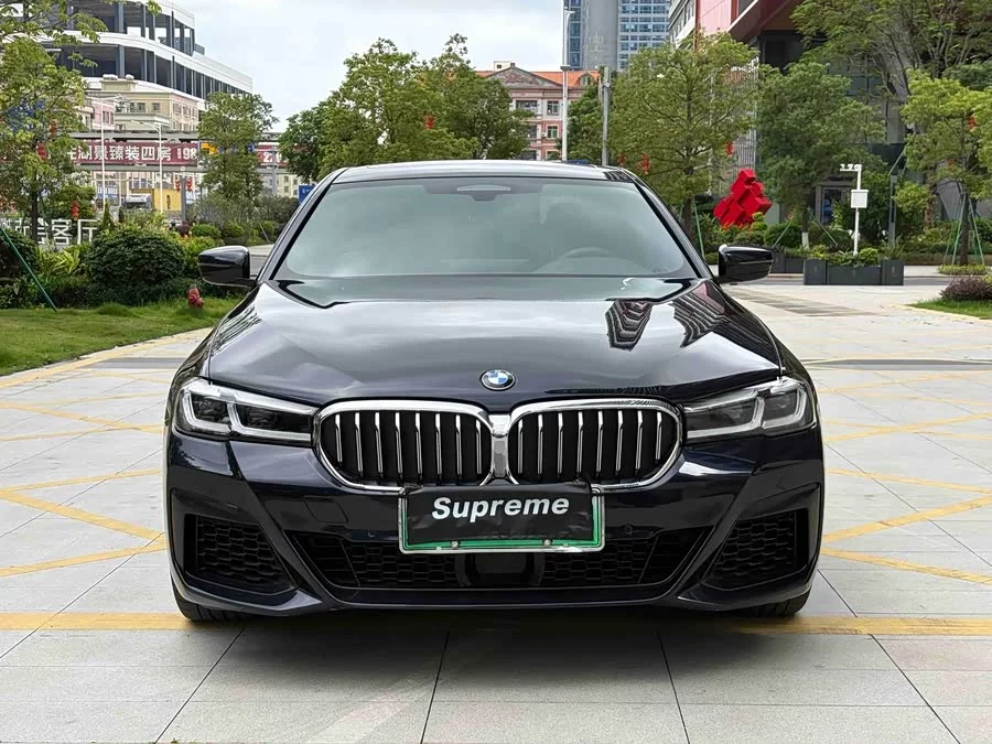 BMW 5 Series New Energy