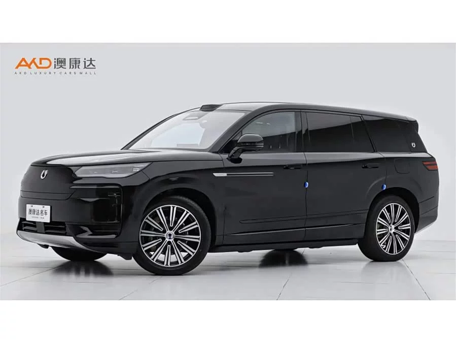BYD N9