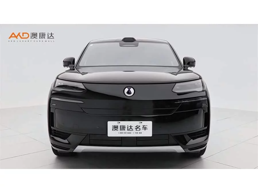 BYD N9