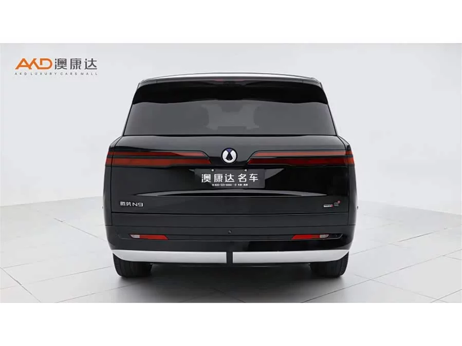 BYD N9