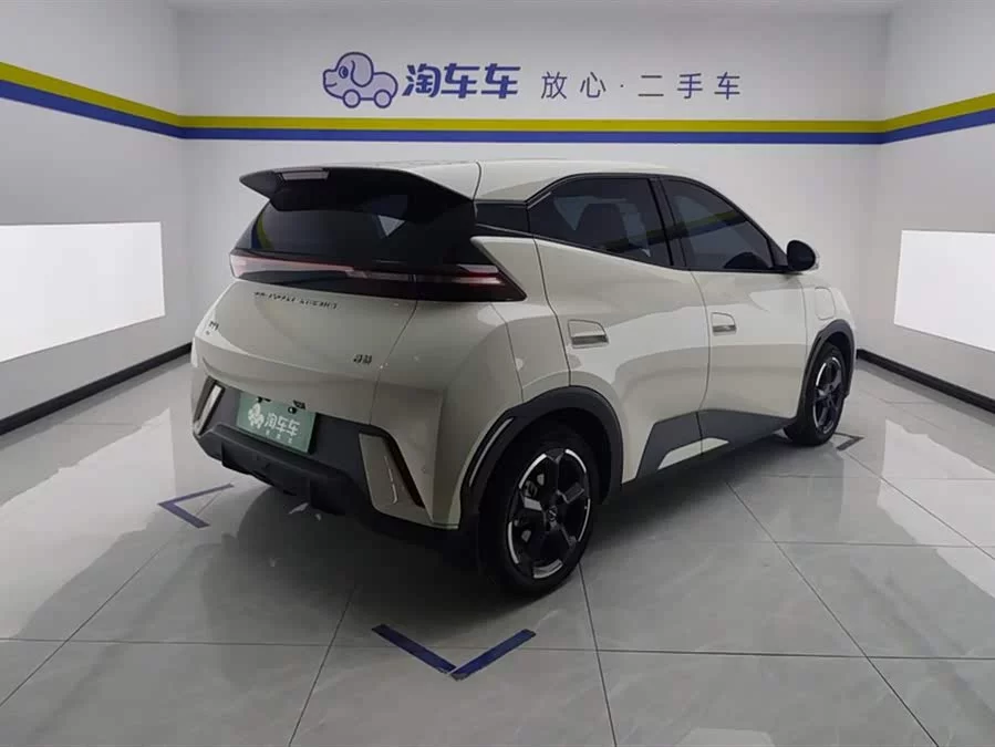 BYD Seagull